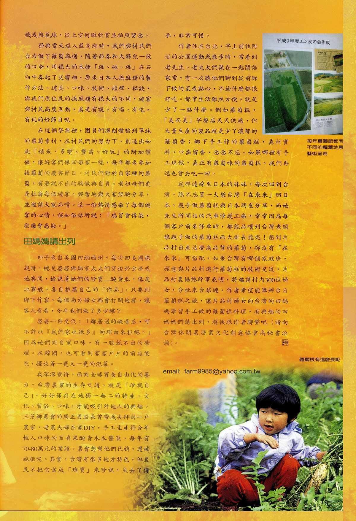 片品村的蘿蔔節 - 陳燕銀